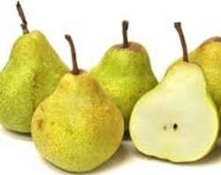 Pear - Packham Green